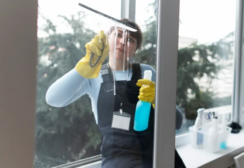 Nettoyage de vitres intérieures et extérieures à Lyaud